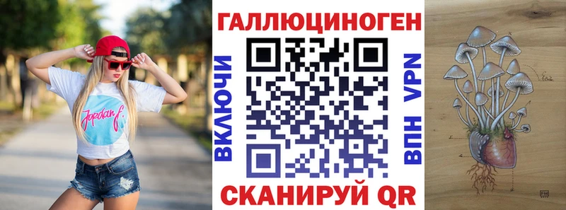 Галлюциногенные грибы MAGIC MUSHROOMS  hydra ONION  Новороссийск  магазин продажи  
